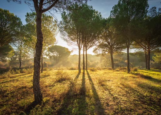 Almonte recibe 8 millones de euros para impulsar el desarrollo sostenible en el área de influencia de Doñana