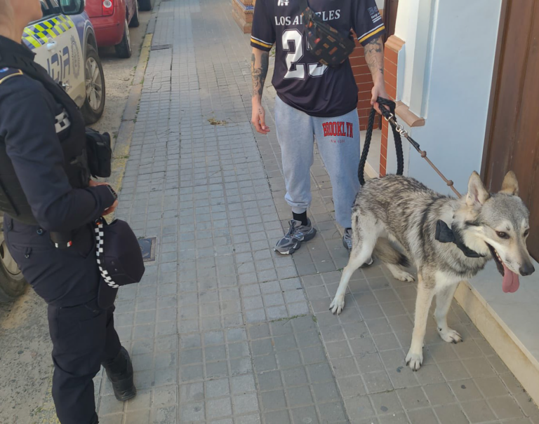 El ADN canino se consolida como herramienta de bienestar animal