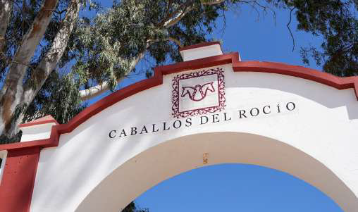 El Rocío recupera el Club Hípico y refuerza su sello ecuestre